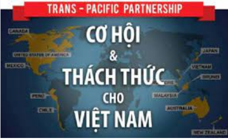 Nhìn nhận cơ hội và thách thức của Việt Nam trong TPP